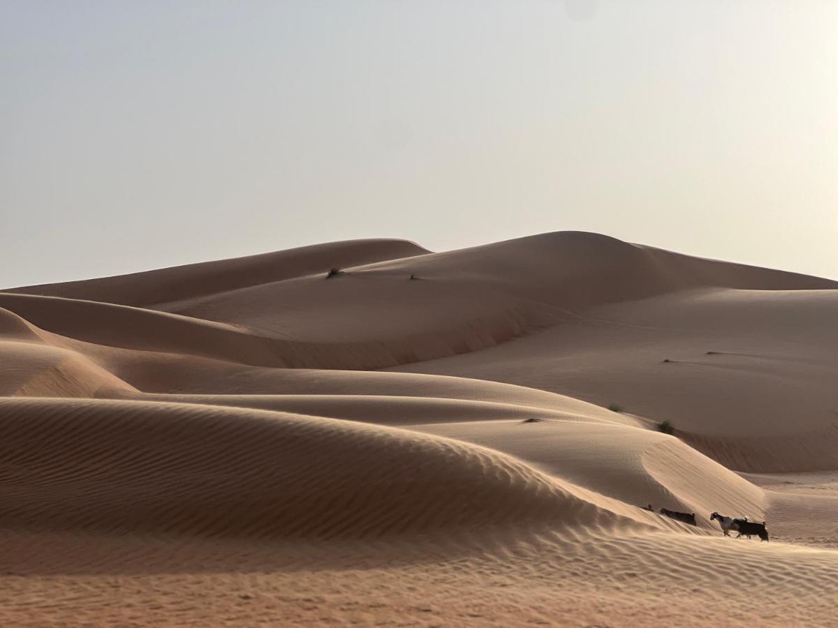 Thousand Stars Desert Camp Badīyah Zewnętrze zdjęcie