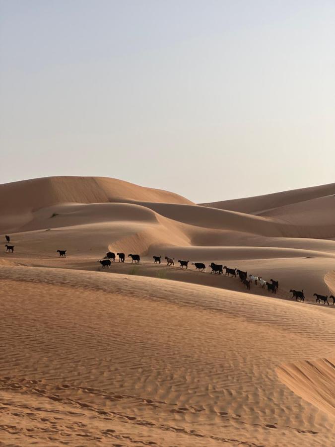 Thousand Stars Desert Camp Badīyah Zewnętrze zdjęcie