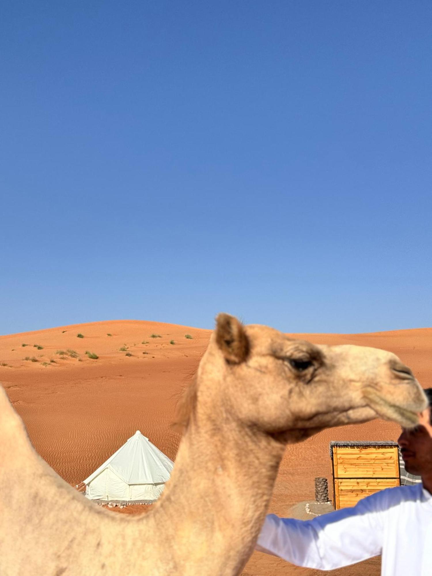 Thousand Stars Desert Camp Badīyah Zewnętrze zdjęcie